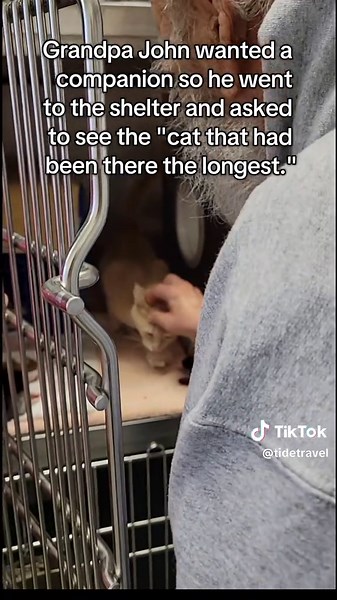 Grandpa John moved into a new apartment and decided he wanted a companion. Welcome home