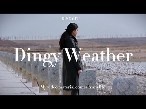 Best Women's Raincoats for All Weather Conditions