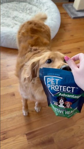 Pet Protect products are backed by science to help every pet's lifestyle #petsmart @elancopetbasics