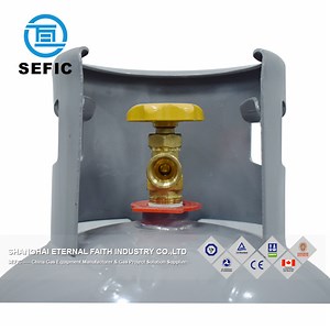 [Hot Item] Sizes 6kg 12.5kg 20kg 30kg 48kg LPG Gas Cylinder