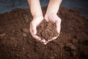 What Are The Components Of Healthy Soil?
