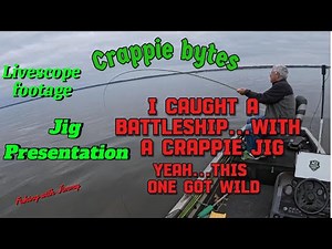 I caught a Battleship with a Crappie jig. Yeah, This one got wild! Jig Presentation #livescope