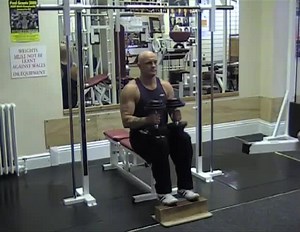 Seated Dumbbell Calf Raise