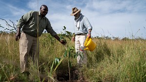 3.1K views · 66 reactions | Since we started our Conservation Roots...