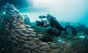 12 climate change documentaries and series that will give you an up-close look — and some solutions