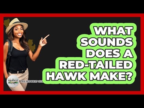 What Sounds Does A Red-Tailed Hawk Make?