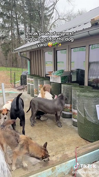 Transform Your Yard with Natura Hybrid Dog Turf