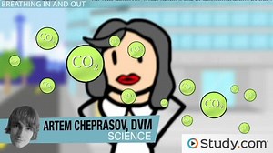 Respiratory Alkalosis | Definition, Causes & Treatment