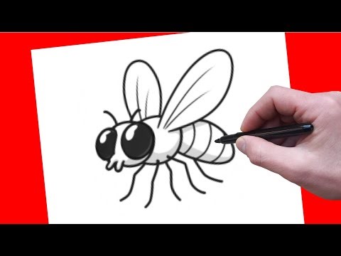 How to Draw a Fly | Easy Step-by-Step Drawing tutorial for beginners!