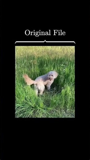 Turbo codes / LDPC codes