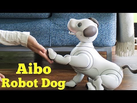 Sony's Aibo Robot Dog returns with advanced AI