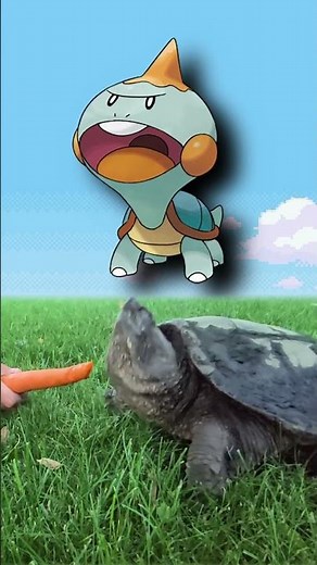 WTF is Chewtle?| EVERY Pokémon Design Explained #pokemon #pokemoncards #shorts