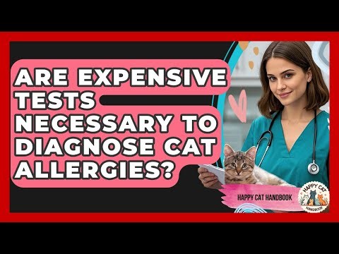Are Expensive Tests Necessary To Diagnose Cat Allergies? - Happy Cat Handbook
