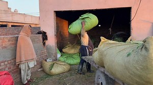 YE KIYA KARWA LIYA HUM NY 😲 | دو ہزار کے لیے ایسی بھی کیا مجبوری تھی | Waqar Bhindar Dairy Farm