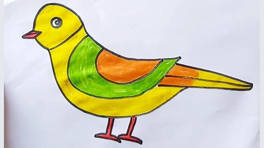 28K views · 1.1K reactions | How to draw parrot step by step | Parrot drawing colour | Easy bird draw | Priyanka creative guru | Facebook