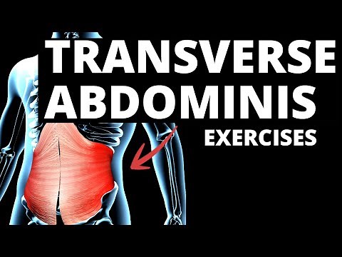 7 Effective TRANSVERSE ABDOMINIS Exercises (WORK IMMEDIATELY!)