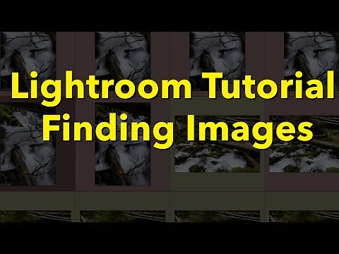Lightroom (Classic) Basics, Using Collections, Flags and Compare Mode to find Images.