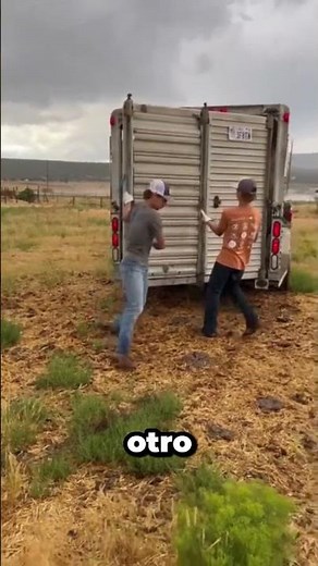 El toro que encontró amistad donde nadie la esperaba