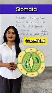 STOMATA for Class 7th | Nutrition in plants class 7 chapter 1