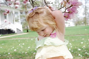 Tulip Tree vs. Magnolia Tree: Why They Are Often Confused | LoveToKnow