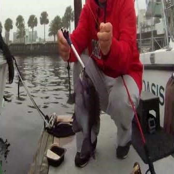 BIG WINTER BLUEGILLS IN THE FOG AND CHANNEL CATS