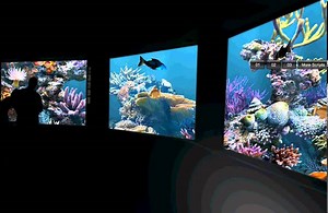 What is this effect called, underwater distortion?