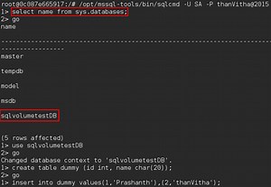 Understanding Backup and Restore operations in SQL Server Docker Containers