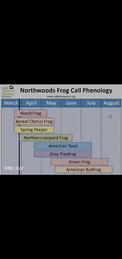 Frog Call Phenology Exploration