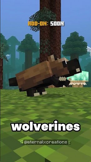 Dev Diaries Part 3: Redwood Forest! #minecraft #java #addon #bedrock #fyp #mcpe #mod #minecraftmeme