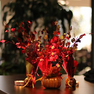 683K views · 5.6K reactions | Make decorating for the holiday season fast and easy with these wireless LED lights!  16 Colors + Dimmer + Rotate Colors ️ No Installation Required  Batteries & Remote Control Included  Compact  10 Bright L.E.D. Lights In Each Disc Perfect for Holiday Decorations | Living Smart | Facebook