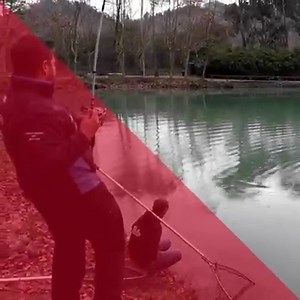 1.3K views · 23 reactions | P-Line CXX X-TRA Strong Special Sturgeon - Speciale Storione Available 2500 yds www.p-line-europe.com | P-Line Europe | Facebook