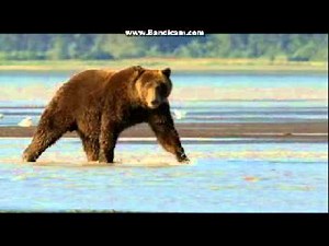 Previews From Frozen 2014 DVD