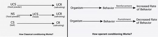 Classical vs Operant Conditioning - Psychestudy