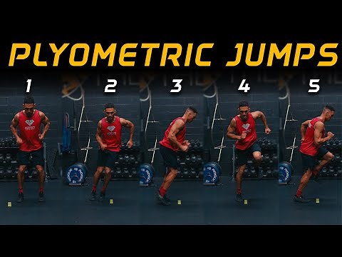 5 Plyometric Jump Exercises For Beginners | No equipment needed