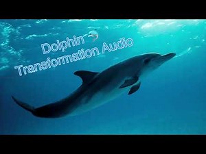 Dolphin 🐬 Transformation Audio