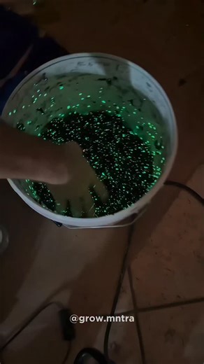 Krishna rathore | business & marketing insights 💡 on Instagram: "Unique business idea✨@grow.mntra #wall #interiordesign #business #instagram #reel DM for credit. No copyright intended for background footage and music. All rights belong to the original owners."