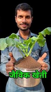 Vermicompost || वर्मीकम्पोस्ट क्या है? और यह खेती में क्यों जरूरी है #vermicompost #farming