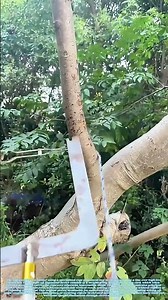 Roping the Heights: How a Simple Tool Masters Vertical Challenges