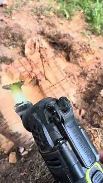 How to remove a small stump using a multitool and a circular saw without a stump grinder.