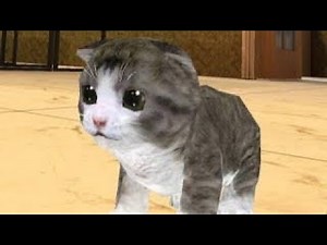 Playful Adventures in Cat Simulator 2! | Fun Cat Game for Kids Mobil Game Android/iOS