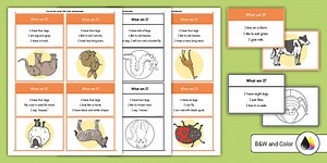 What Animal Am I? Animal Guessing Game