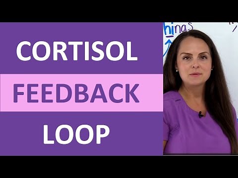 Cortisol Negative Feedback Loop Mechanism Explained Nursing