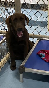 21K views · 326 reactions | “Maybe if I don’t look, this human will...