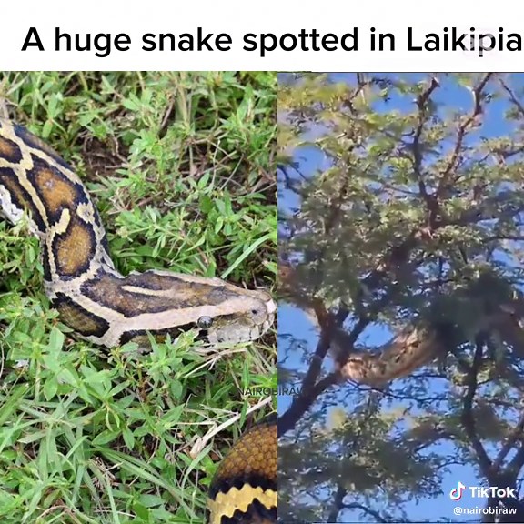 NAIROBI RAW on TikTok