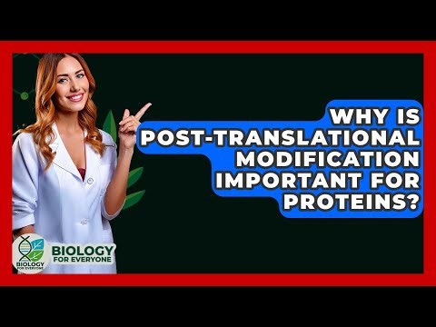 Why Is Post-translational Modification Important For Proteins? - Biology For Everyone