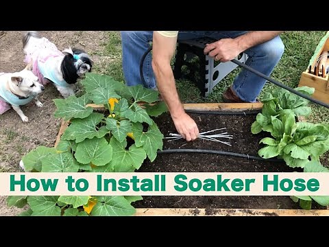How to install soaker hose
