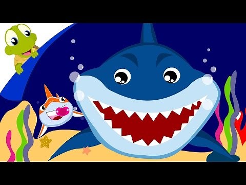 Baby Shark Song | Animal Songs with lyrics