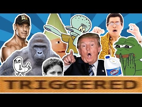 MEMES EXPLAINED - The Meaning of 10 Popular Memes 2016