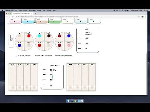 Lab 3: Paper Chromatography Virtual Experiment