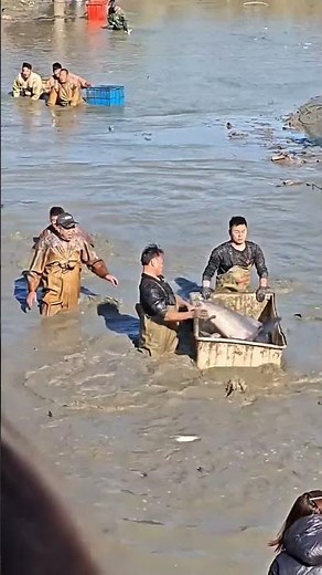 A rare sight of fishing in rural China #shortsvideo